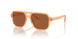 344273 - Orange - Dark Brown