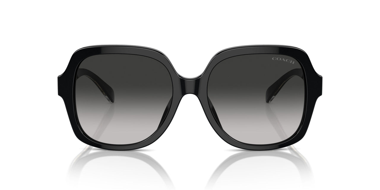 50023C - Black - Grey Gradient