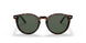 567371 - Havana - Green