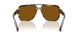 306363 - Tortoise - Brown
