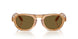 630073 - Tortoise - Dark Brown