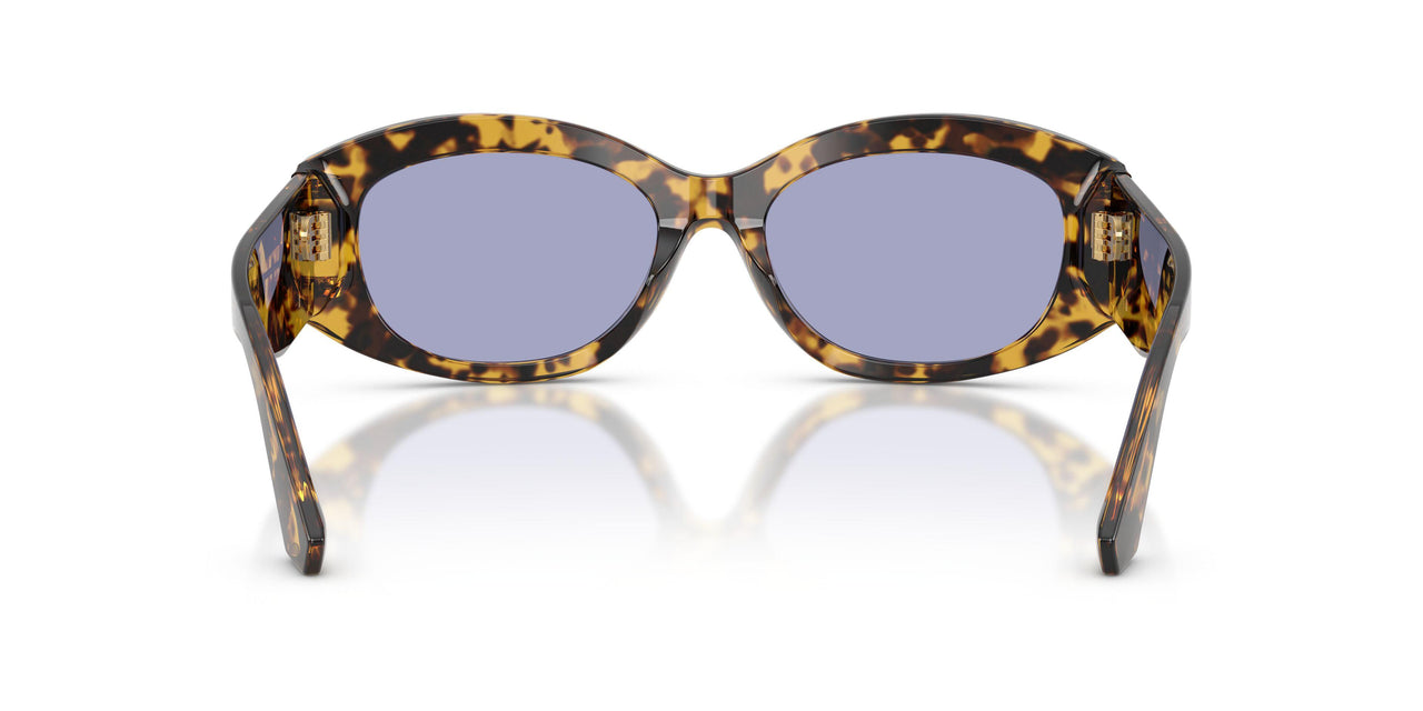 33301A - Tortoise - Violet