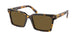 VAU01T - Tortoise - Dark Brown