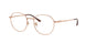 Ray-Ban 8778D Eyeglasses