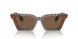 396673 - Brown - Dark Brown