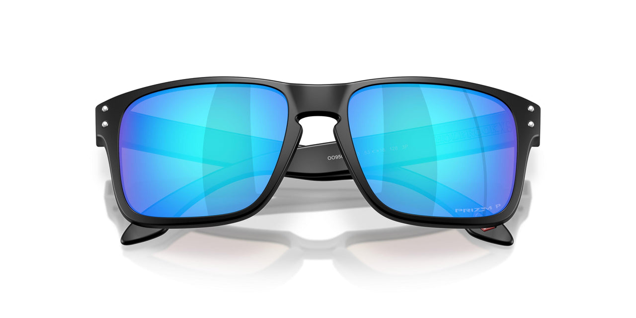 950904 - Black - Prizm Sapphire Polarized