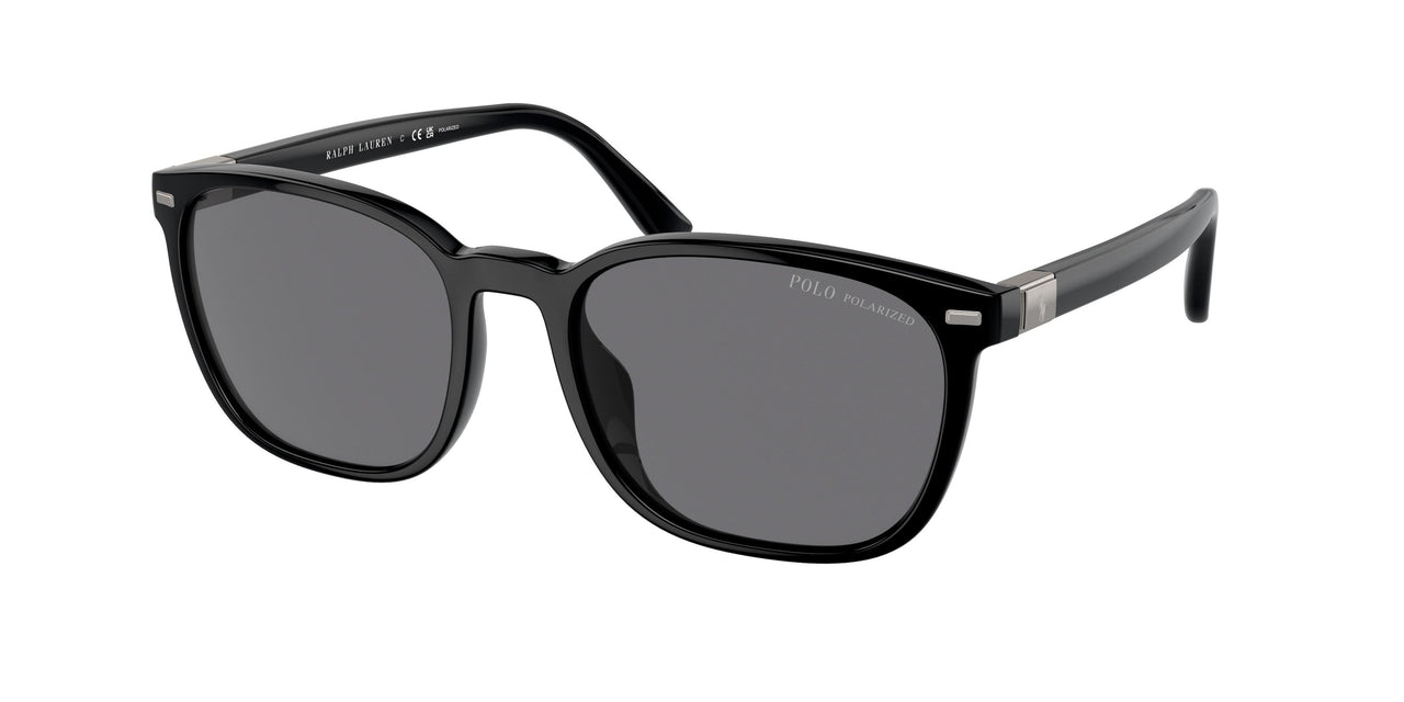 Polo 4208U Sunglasses