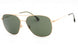 Hugo Boss BOSS1557_O_F_S Sunglasses