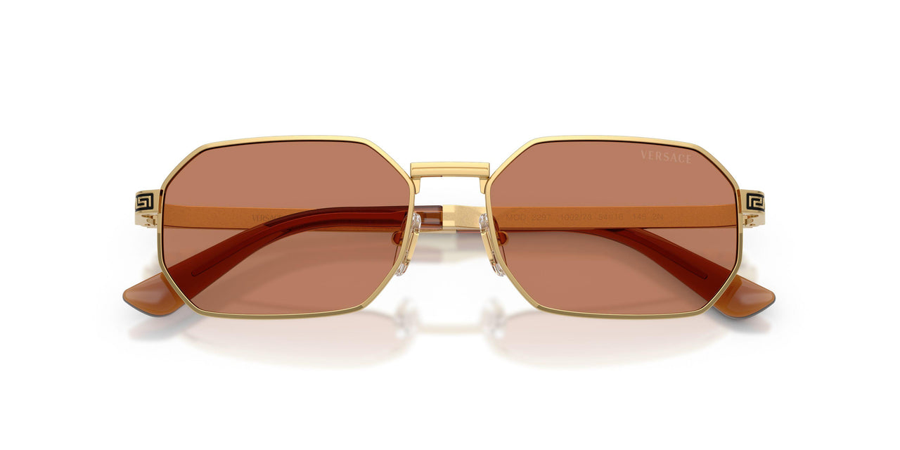 100273 - Gold - Brown