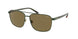 Polo 3135 Sunglasses