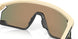 928004 - Brown - Prizm Ruby