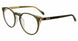 Just Cavalli VJC049 Eyeglasses