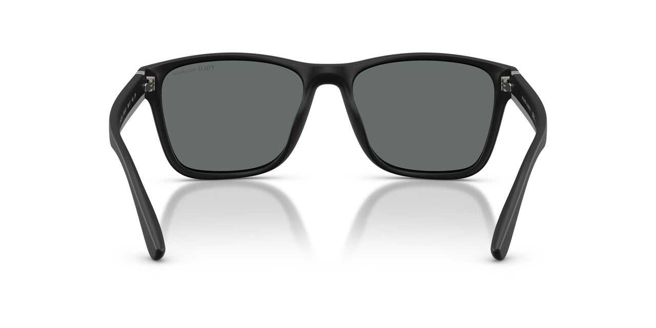 500181 - Black - Polar Dark Grey