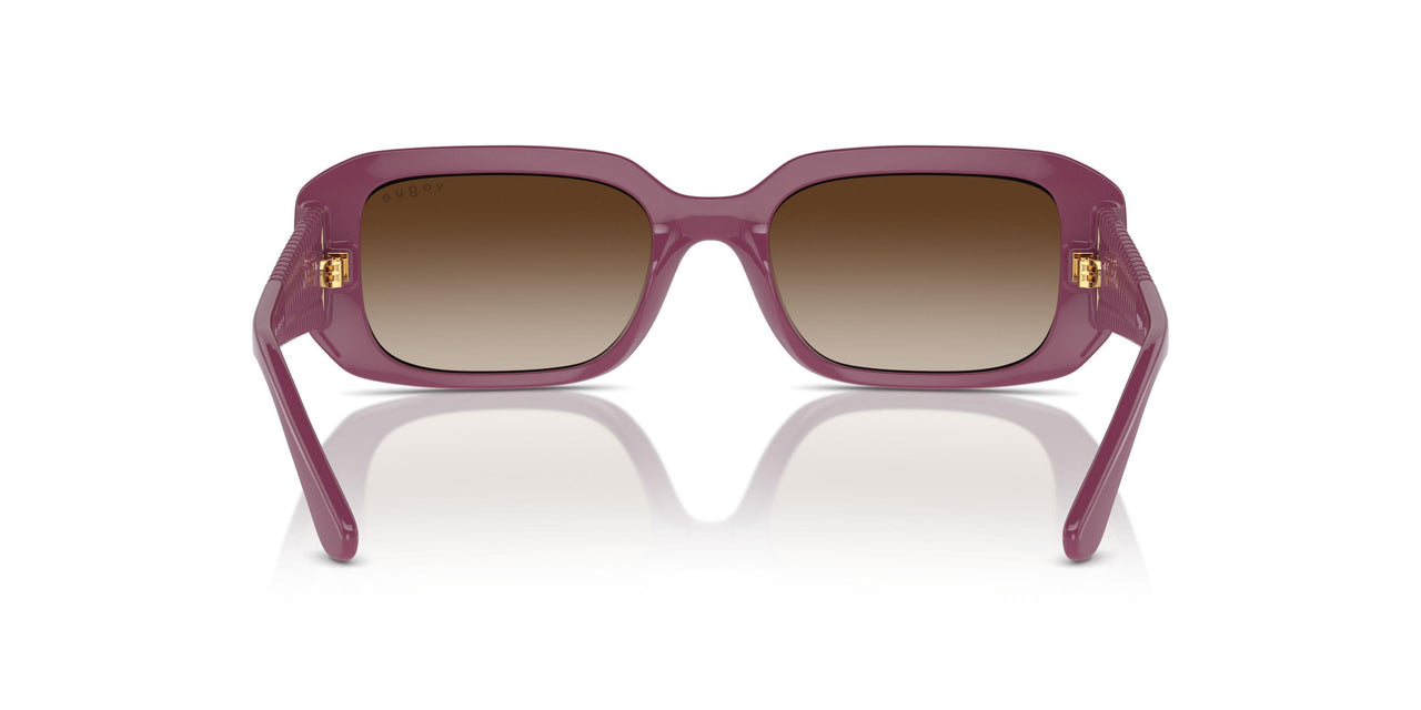 312313 - Violet - Brown Gradient