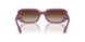 312313 - Violet - Brown Gradient