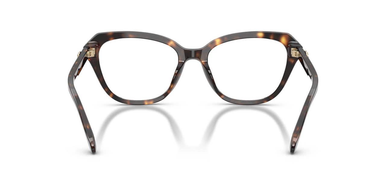 5120 - Tortoise