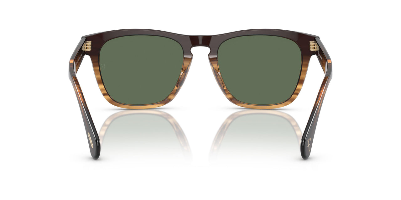13929A - Brown - G-15 Polarized