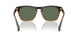 13929A - Brown - G-15 Polarized