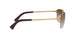 001/13 - Gold - Brown Gradient