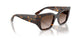 W65613 - Brown - Gradient Brown
