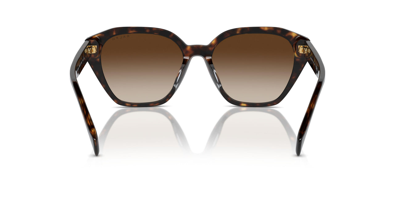500313 - Brown - Gradient Brown