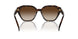 500313 - Brown - Gradient Brown