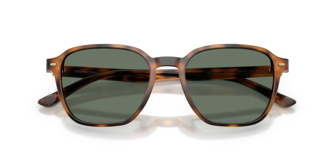 61613H - Tortoise - Green