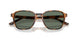 61613H - Tortoise - Green