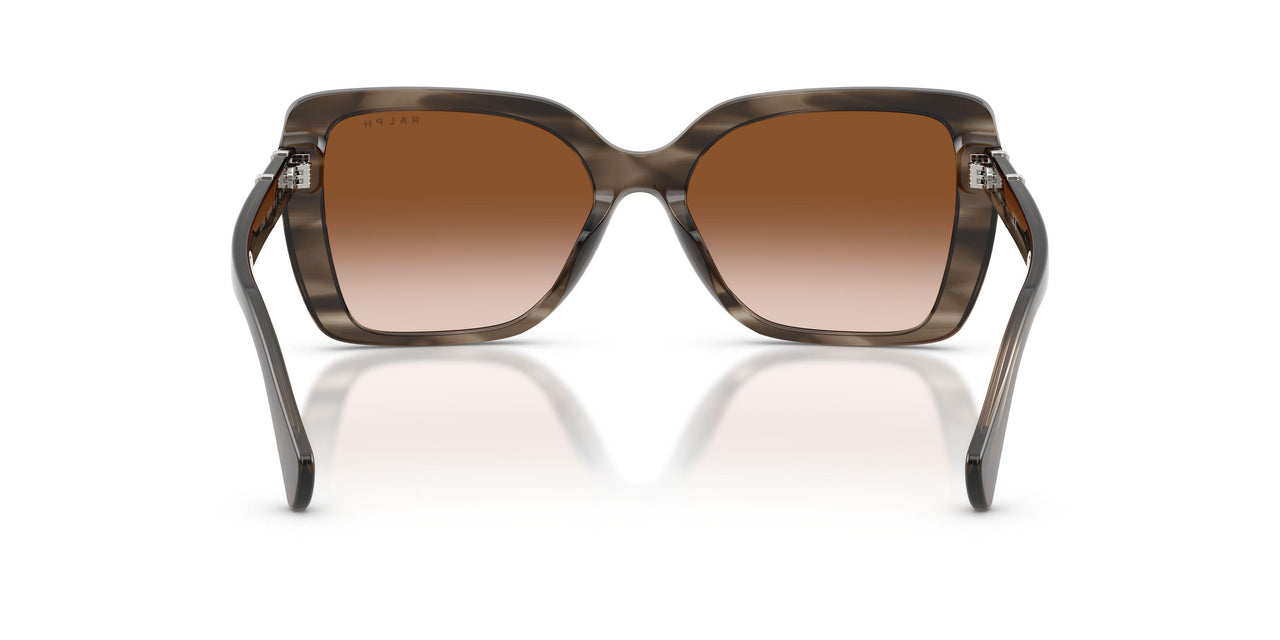 638313 - Grey - Gradient Brown