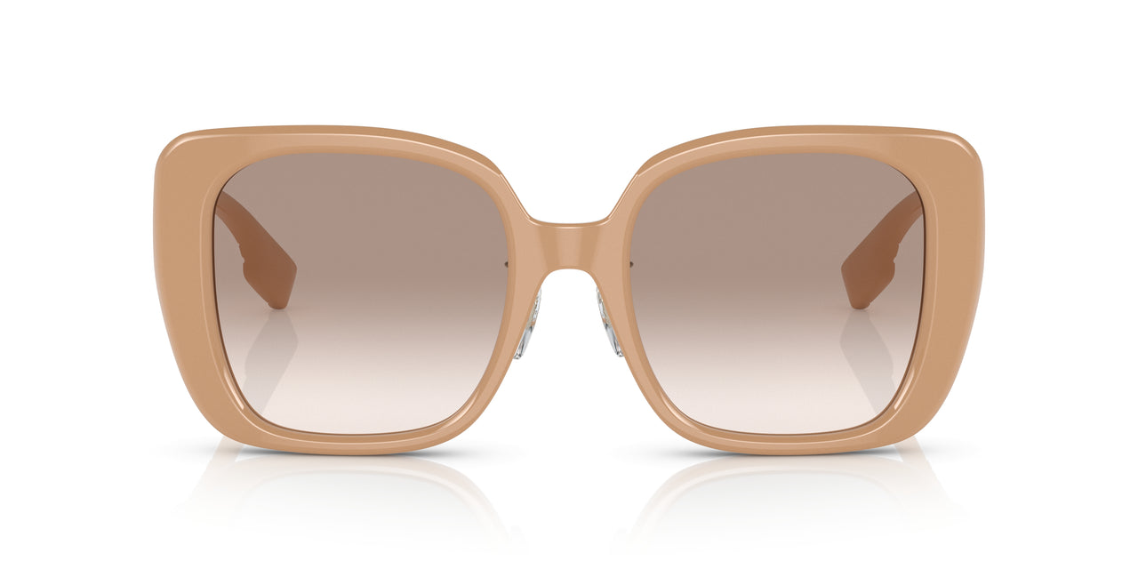 399013 - Brown - Brown Gradient