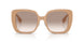 399013 - Brown - Brown Gradient