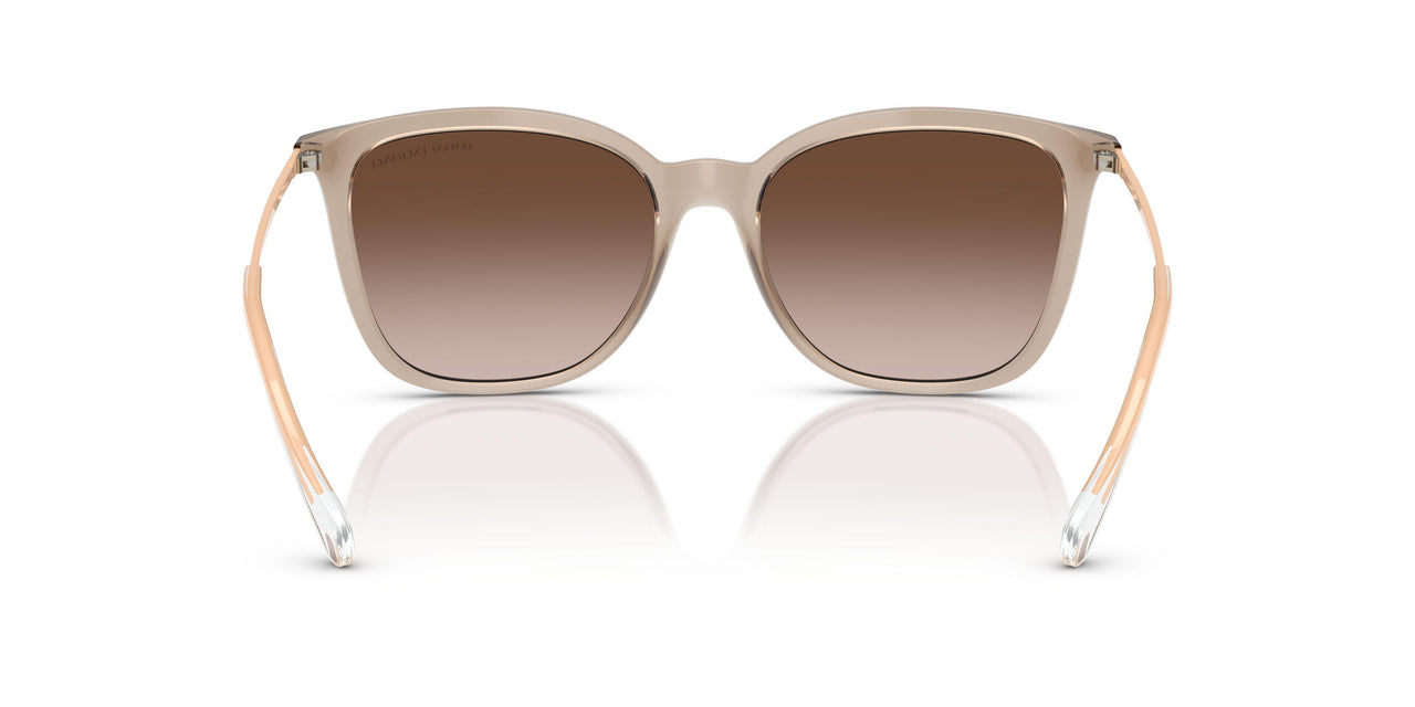 836613 - Brown - Gradient Brown