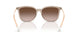836613 - Brown - Gradient Brown