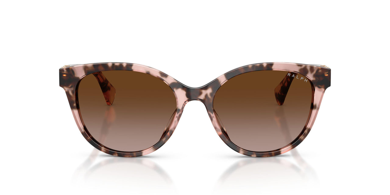 605813 - Tortoise - Gradient Brown