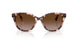 605813 - Tortoise - Gradient Brown