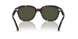902/31 - Tortoise - Green