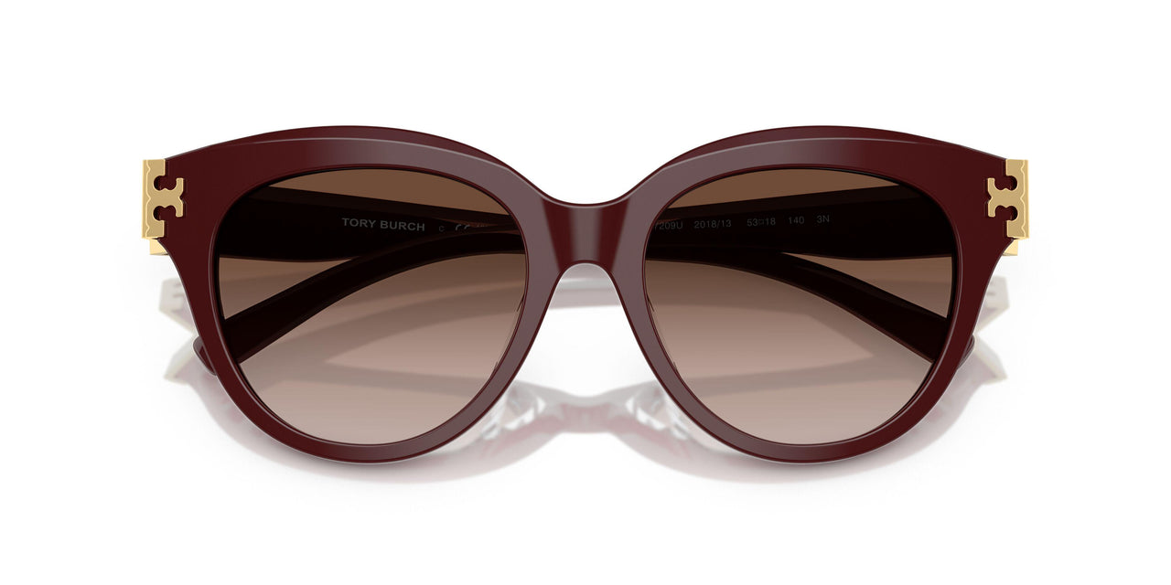 201813 - Red - Brown Gradient