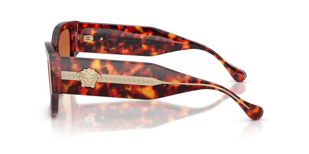 5543T5 - Tortoise - Yellow Gradient Brown