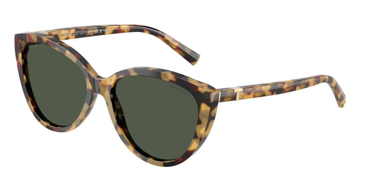 80649A - Tortoise - Polar Green