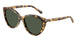 80649A - Tortoise - Polar Green