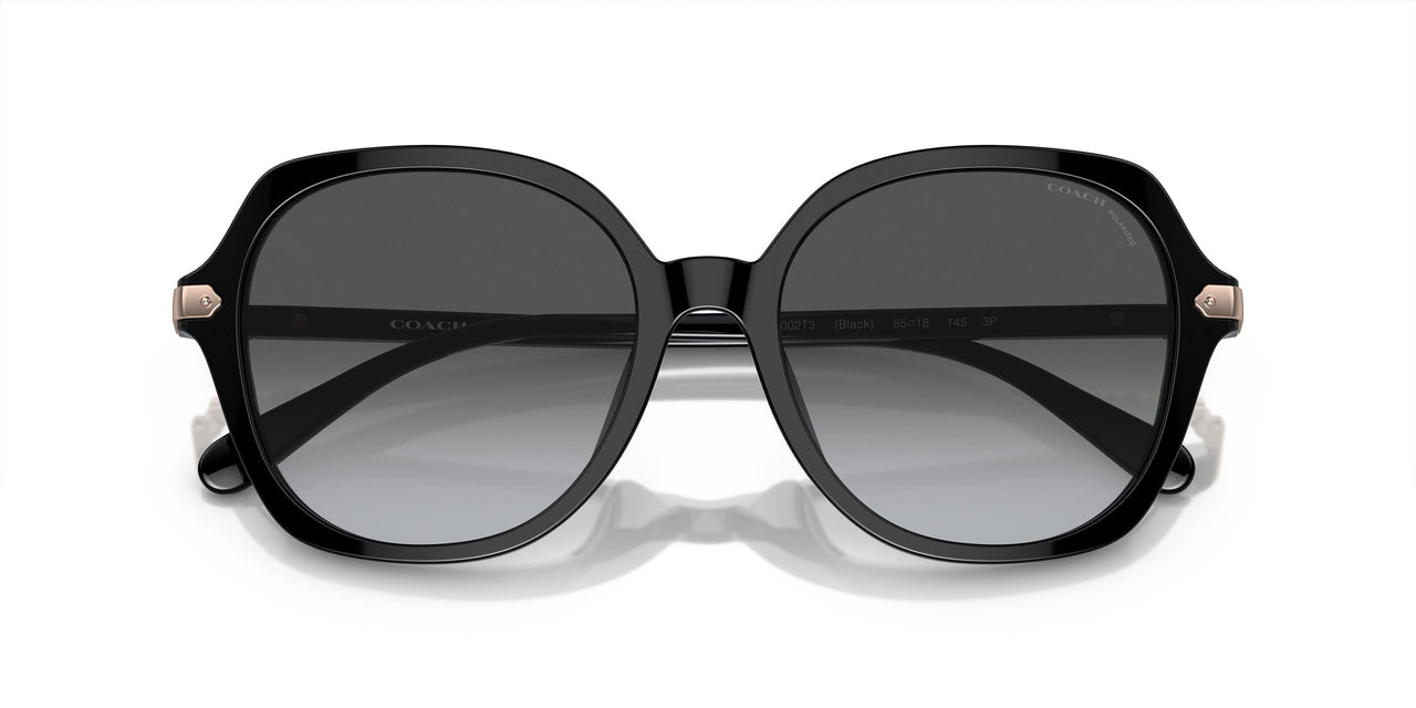 5002T3 - Black - Grey Gradient Polar