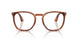 96/GJ - Brown - Transitions 8 Green