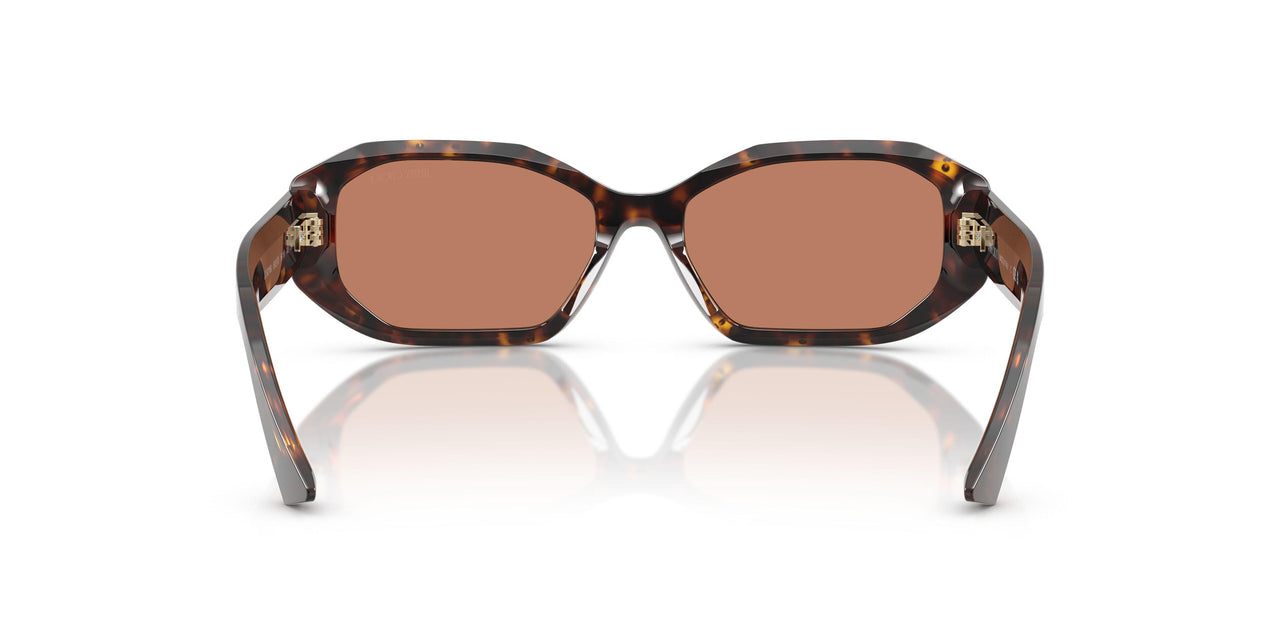 500273 - Tortoise - Brown