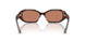 500273 - Tortoise - Brown