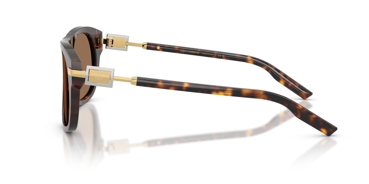 502/73 - Tortoise - Dark Brown