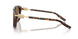 502/73 - Tortoise - Dark Brown