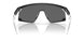 928001 - Black - Prizm Black