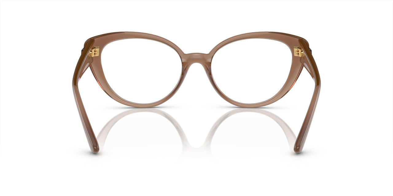 5427 - Brown