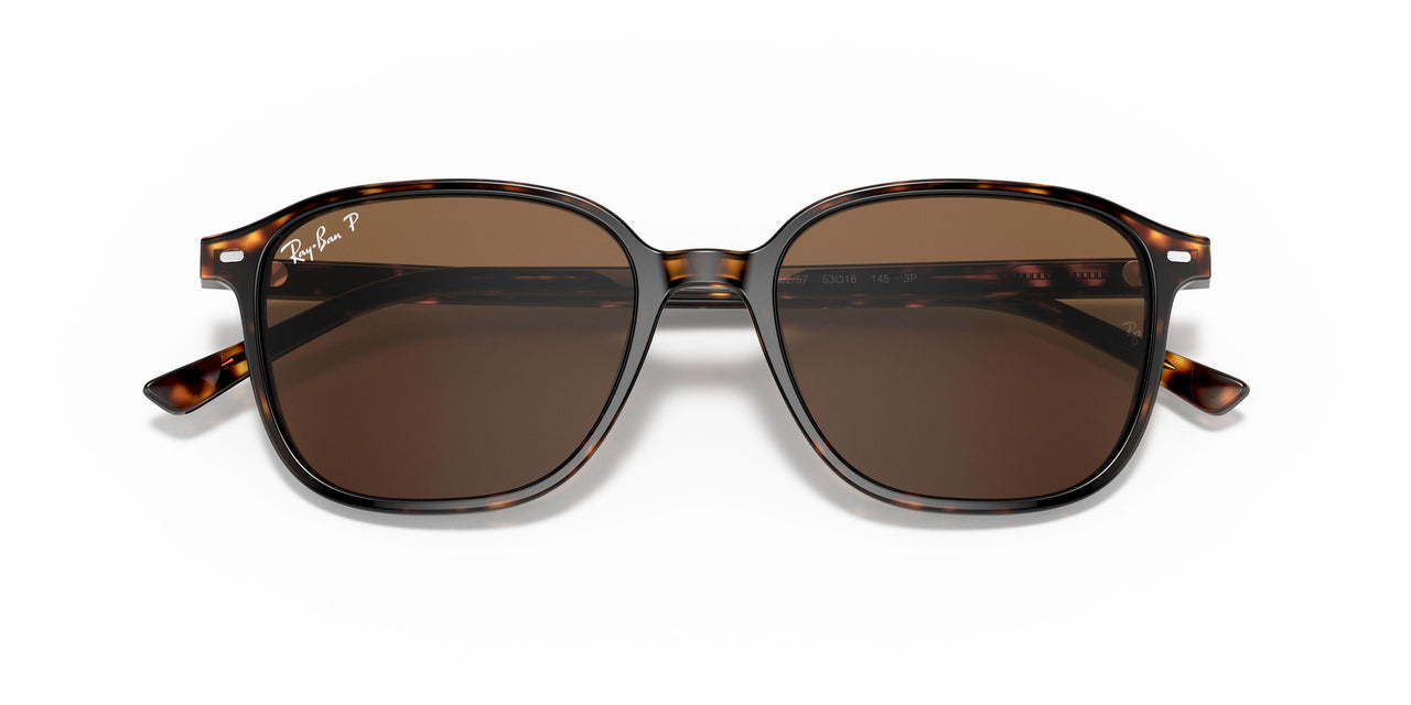 902/57 - Tortoise - Brown