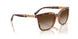 W65613 - Brown - Gradient Brown